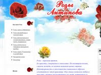 Саженцы роз Антипова более 700 сортов, приемлемая цена.